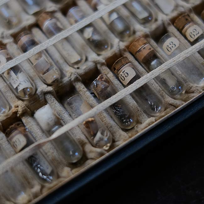 A set of small jars containing mechanical watch parts