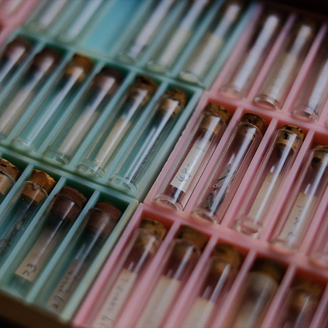 watchmaker's drawer