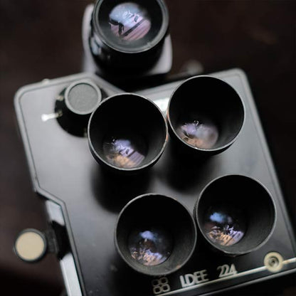 WISTA 4-lens ID photo camera