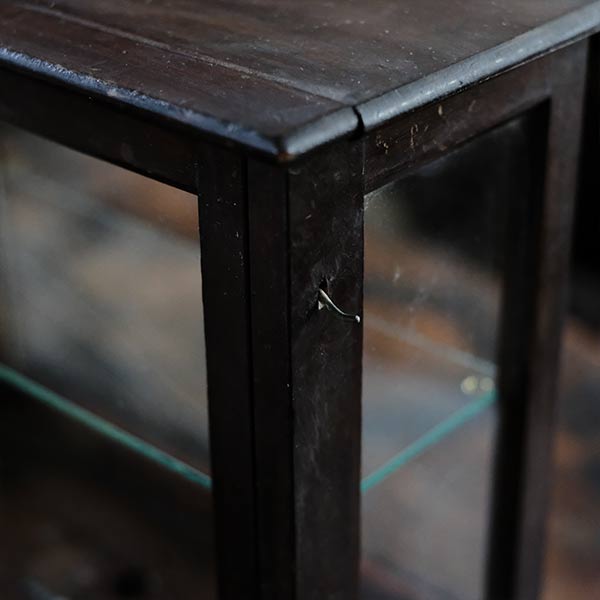 A small showcase made from a scale case (dark brown)
