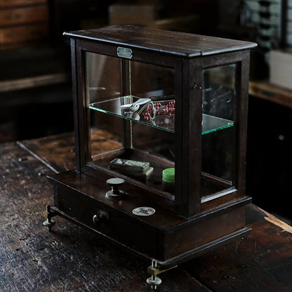 A small showcase made from a scale case (dark brown)
