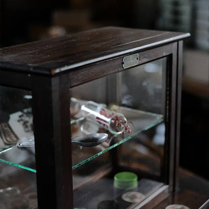 A small showcase made from a scale case (dark brown)