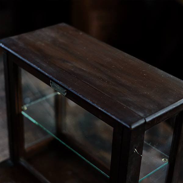 A small showcase made from a scale case (dark brown)