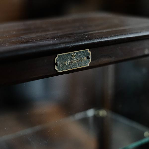 A small showcase made from a scale case (dark brown)