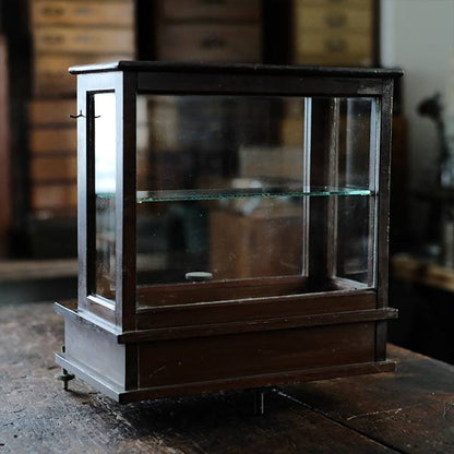 A small showcase made from a scale case (dark brown)