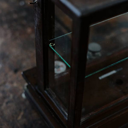 A small showcase made from a scale case (dark brown)