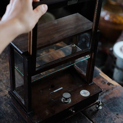 A small showcase made from a scale case (dark brown)