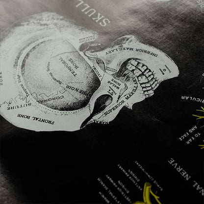 THE SPINE AND SPINAL NERVES Poster