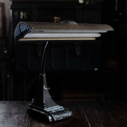 Art Specialty Co. Gooseneck Desk Lamp