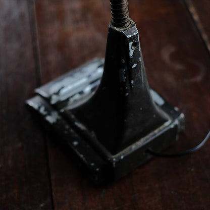 Art Specialty Co. Gooseneck Desk Lamp