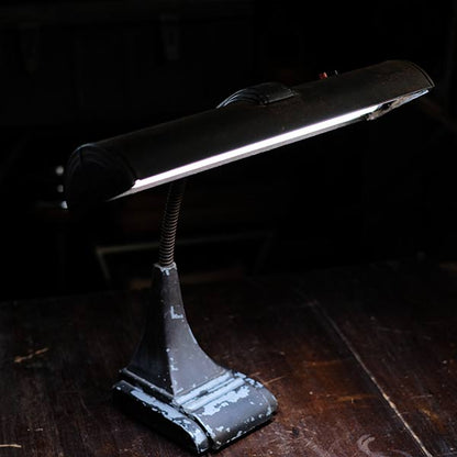 Art Specialty Co. Gooseneck Desk Lamp