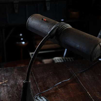 Art Specialty Co. Gooseneck Desk Lamp