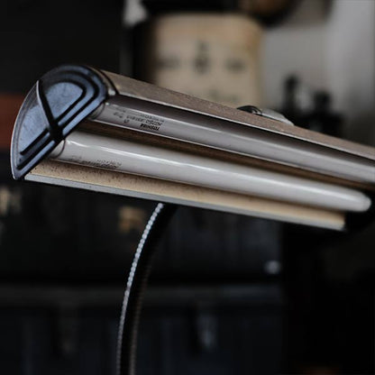 Art Specialty Co. Gooseneck Desk Lamp