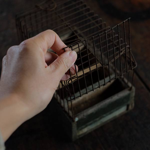 ベルギーの古びたバードケージ 鳥かご（2）