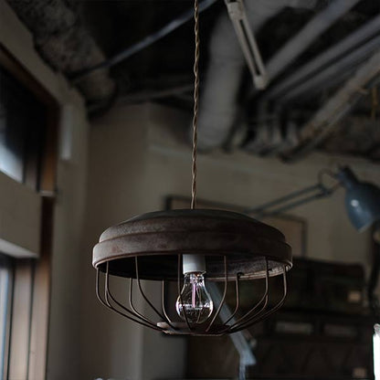 Chicken Feeder Pendant Light