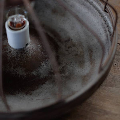 Chicken Feeder Pendant Light