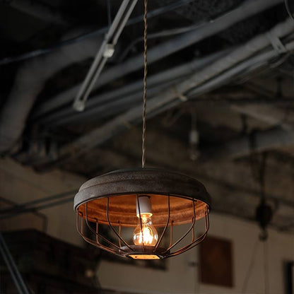 Chicken Feeder Pendant Light