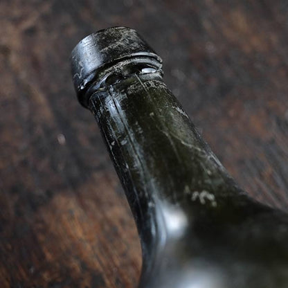 Wine bottles washed up from the sea, 19th century, Netherlands (3)