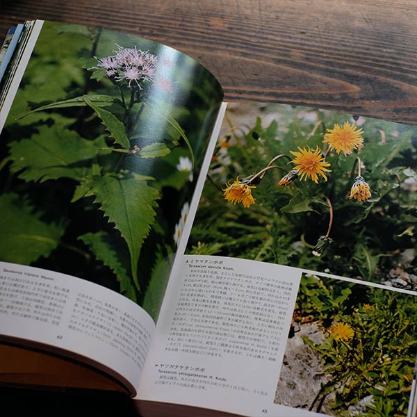 Flowers and Butterflies of the Japanese Alps, Sodosha, 1979