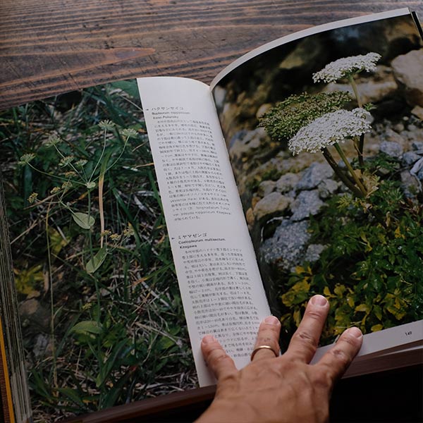 Flowers and Butterflies of the Japanese Alps, Sodosha, 1979