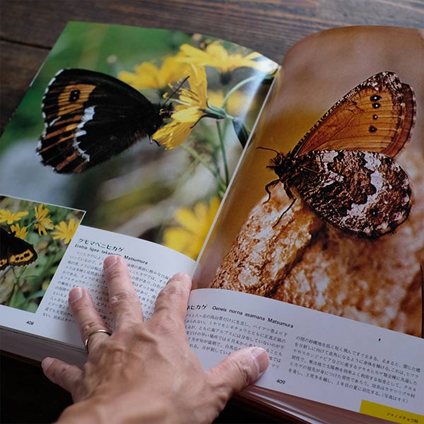 Flowers and Butterflies of the Japanese Alps, Sodosha, 1979