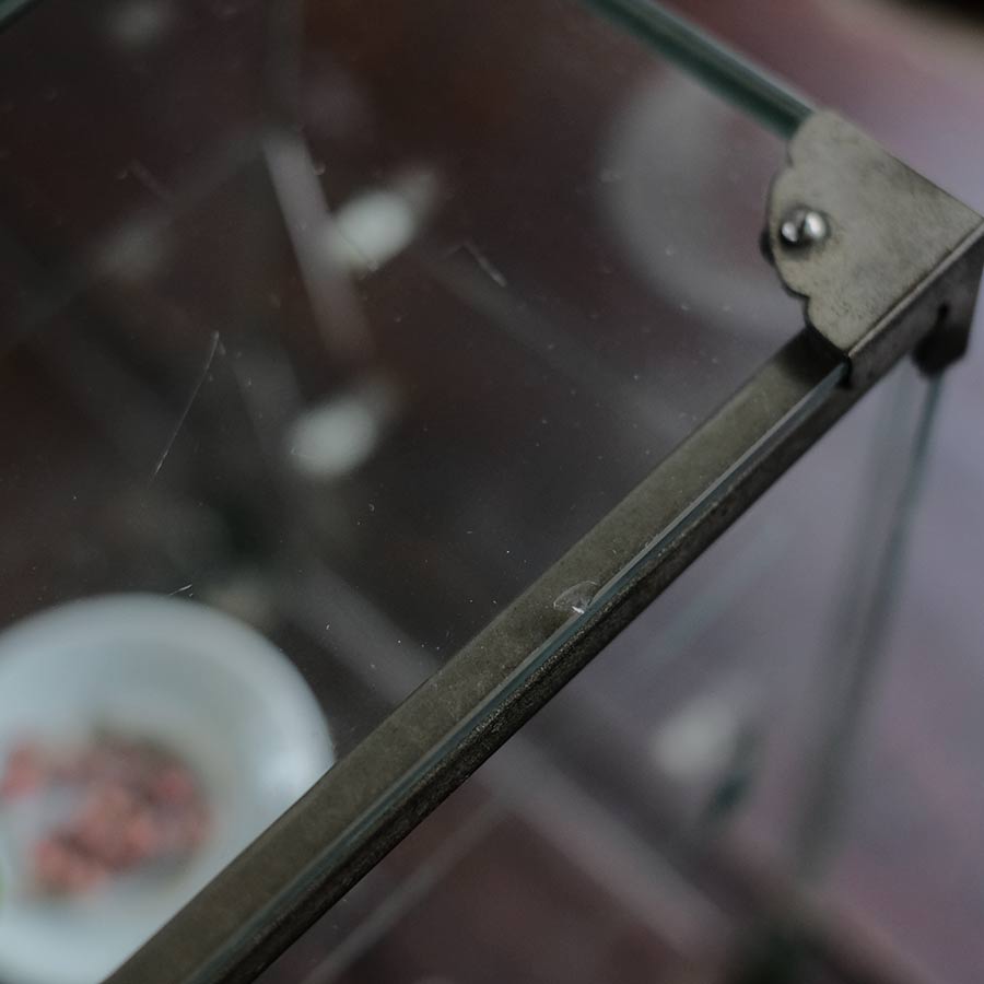 Glass showcase