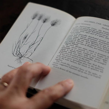 The Observer's Book of GRASSES