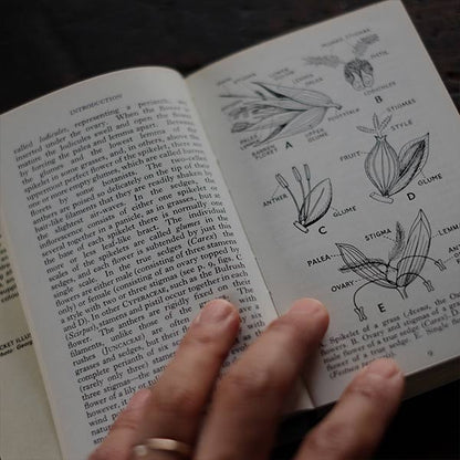 The Observer's Book of GRASSES