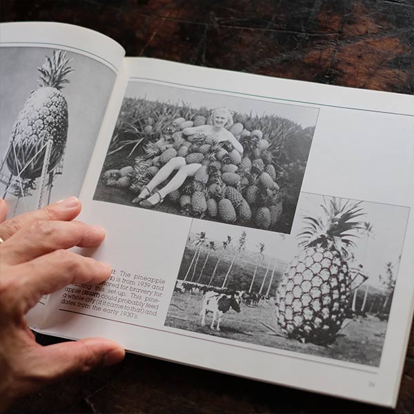 Hawaii Recalls