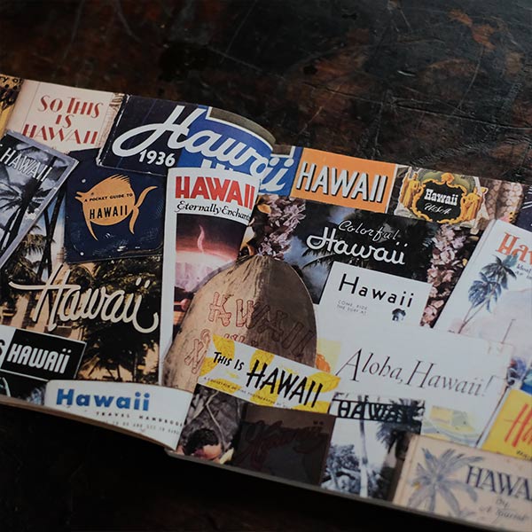 Hawaii Recalls