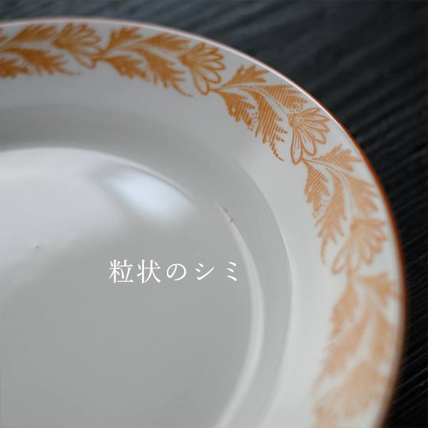 IMPERIAL IRONSTONE（日本硬質陶器）草文の入った皿 φ20cm