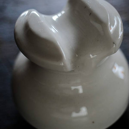 Victor Insulators Co. 磁器製の碍子（ガイシ）