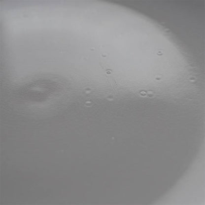 EAGLE BRAND 'ALL WHITE' IRONSTONE 大皿 φ26cm