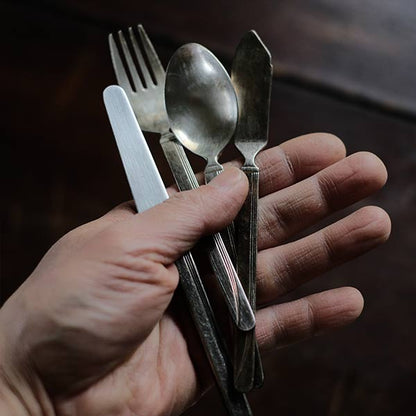 JAL in-flight cutlery (small)