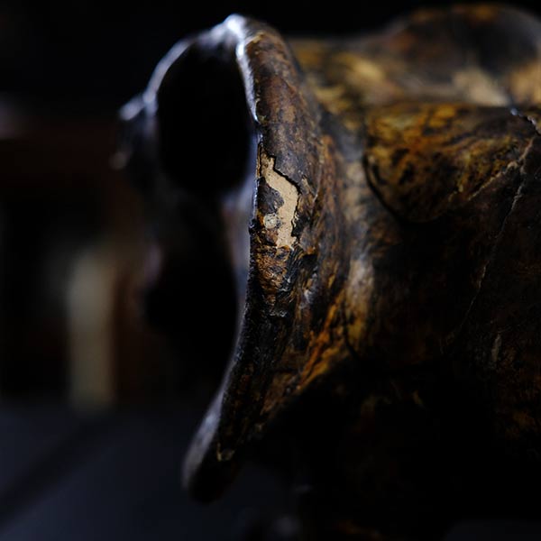 Leather elephant