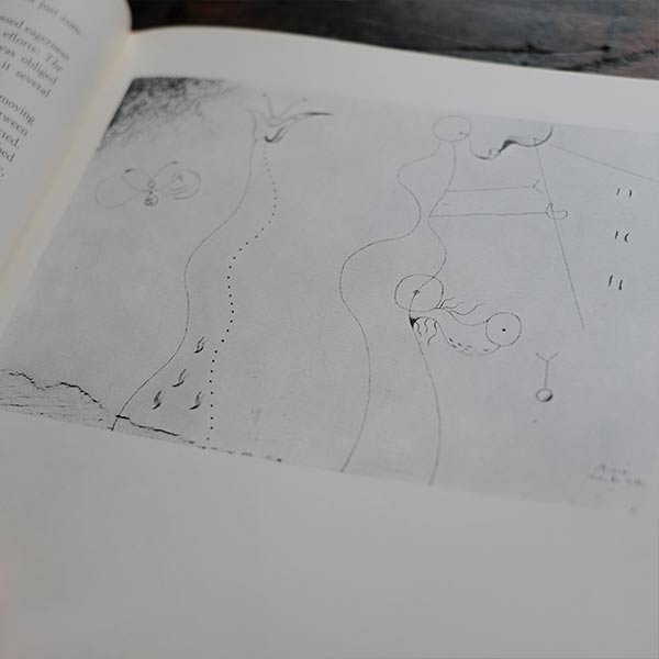 MIRO - Gaston Diehl
