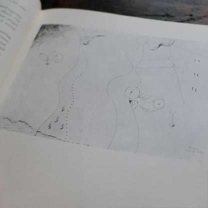 MIRO - Gaston Diehl