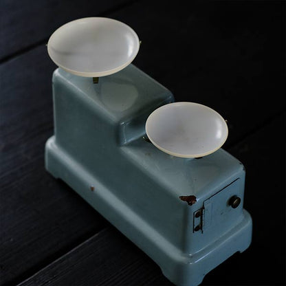 Negishi Scale Top-Pan Balance