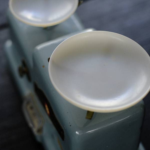 Negishi Scale Top-Pan Balance
