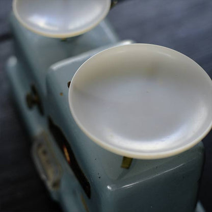 Negishi Scale Top-Pan Balance