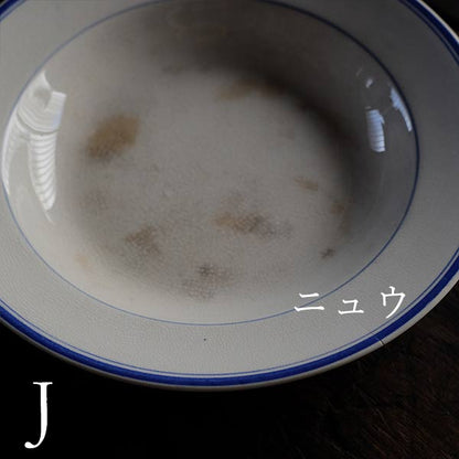NIPPON KOSHITSU TOKIO（日本硬質陶器）IRONSTONE ブルーラインの皿 φ22.5cm