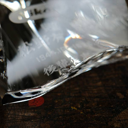 NIKON glass block