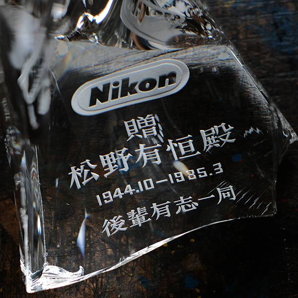 NIKON glass block