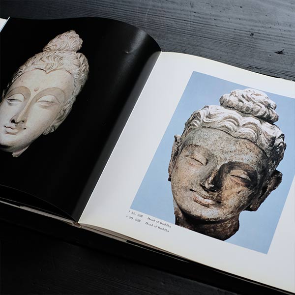 Namikawa Banri Photo Exhibition - Faraway Gandhara