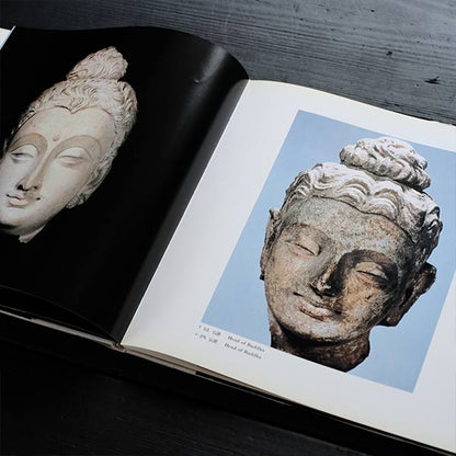 Namikawa Banri Photo Exhibition - Faraway Gandhara