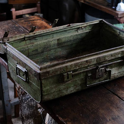 A rusty green trunk