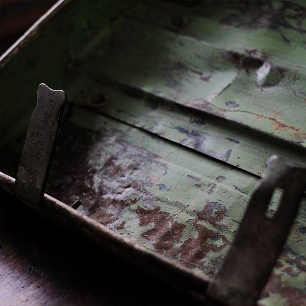 A rusty green trunk