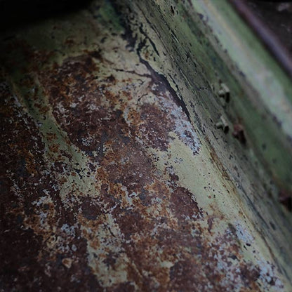 A rusty green trunk