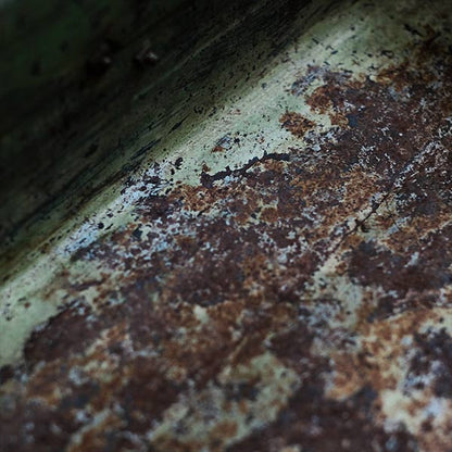 A rusty green trunk