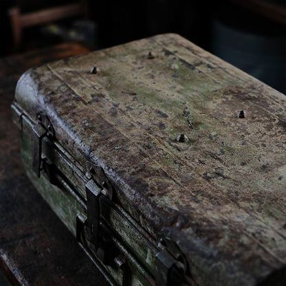 A rusty green trunk